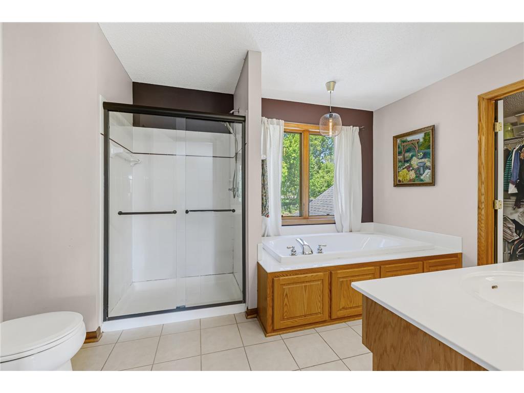 16319 Holbrook Avenue Lakeville MN 55044 7072419 image33