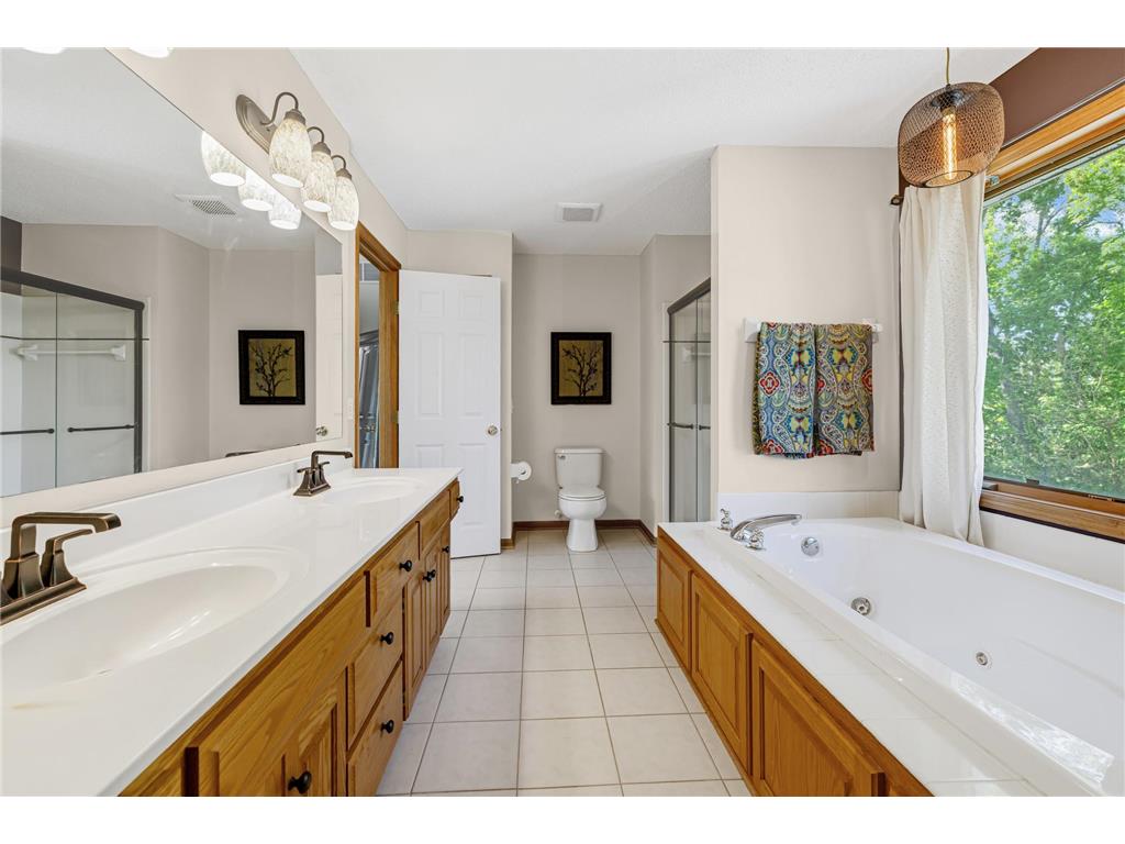 16319 Holbrook Avenue Lakeville MN 55044 7072419 image35