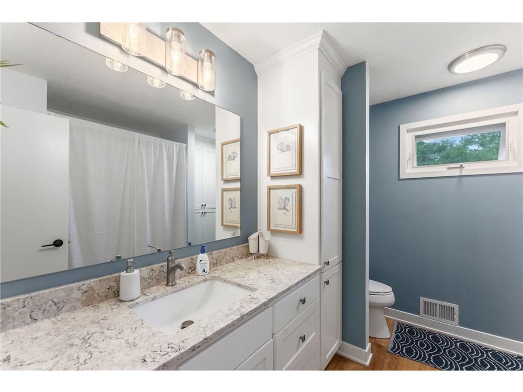 16320 Lake Ridge Drive Maple Grove MN 55311 7105709 image10