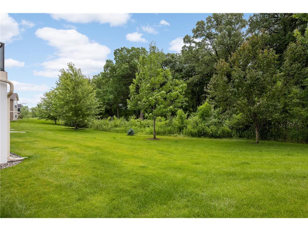 16322 Equestrian Trail Lakeville MN 55044 7020565 image40