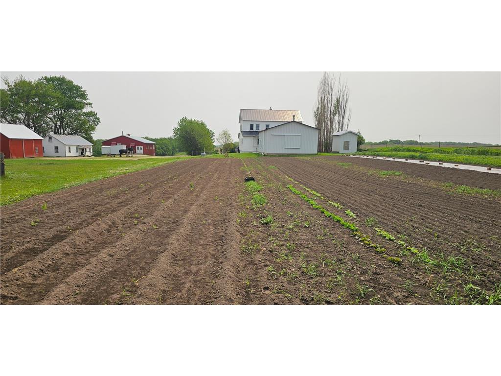 16325 351st Avenue Amherst Twp MN 55939 6768959 image33