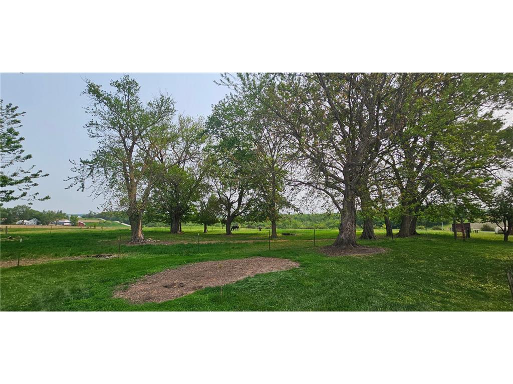 16325 351st Avenue Amherst Twp MN 55939 6768959 image4