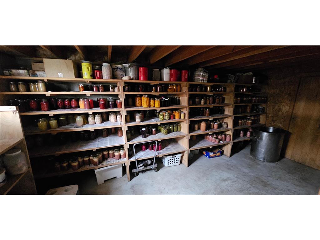 16325 351st Avenue Amherst Twp MN 55939 6768959 image73