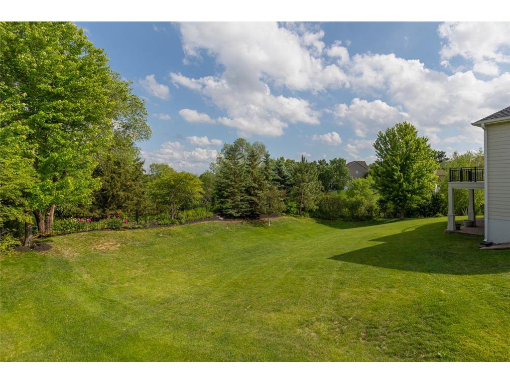 16331 Sohm Court Eden Prairie MN 55347 7095491 image75