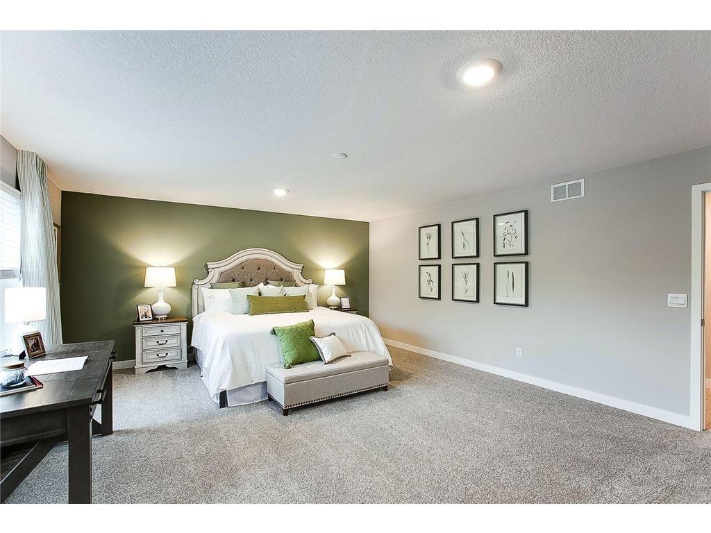 1634 Oak Creek Drive Chaska MN 55318 7010691 image23