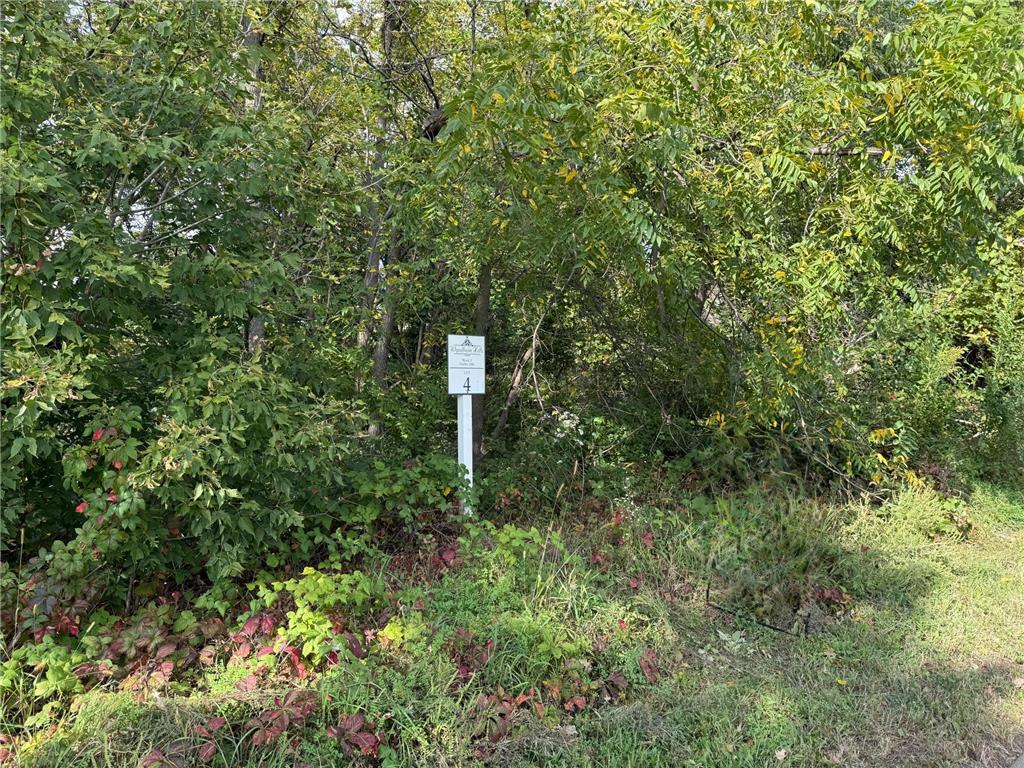 1634 River Shore Drive Hastings MN 55033 6783456 image15