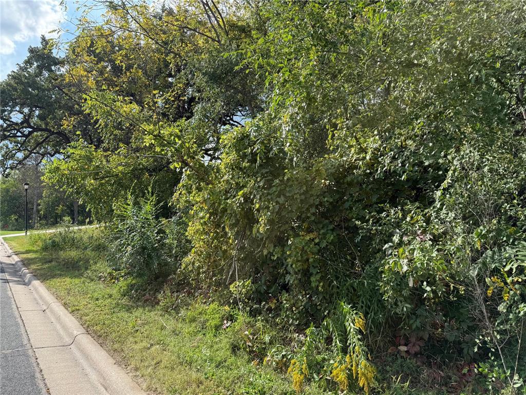 1634 River Shore Drive Hastings MN 55033 6783456 image4