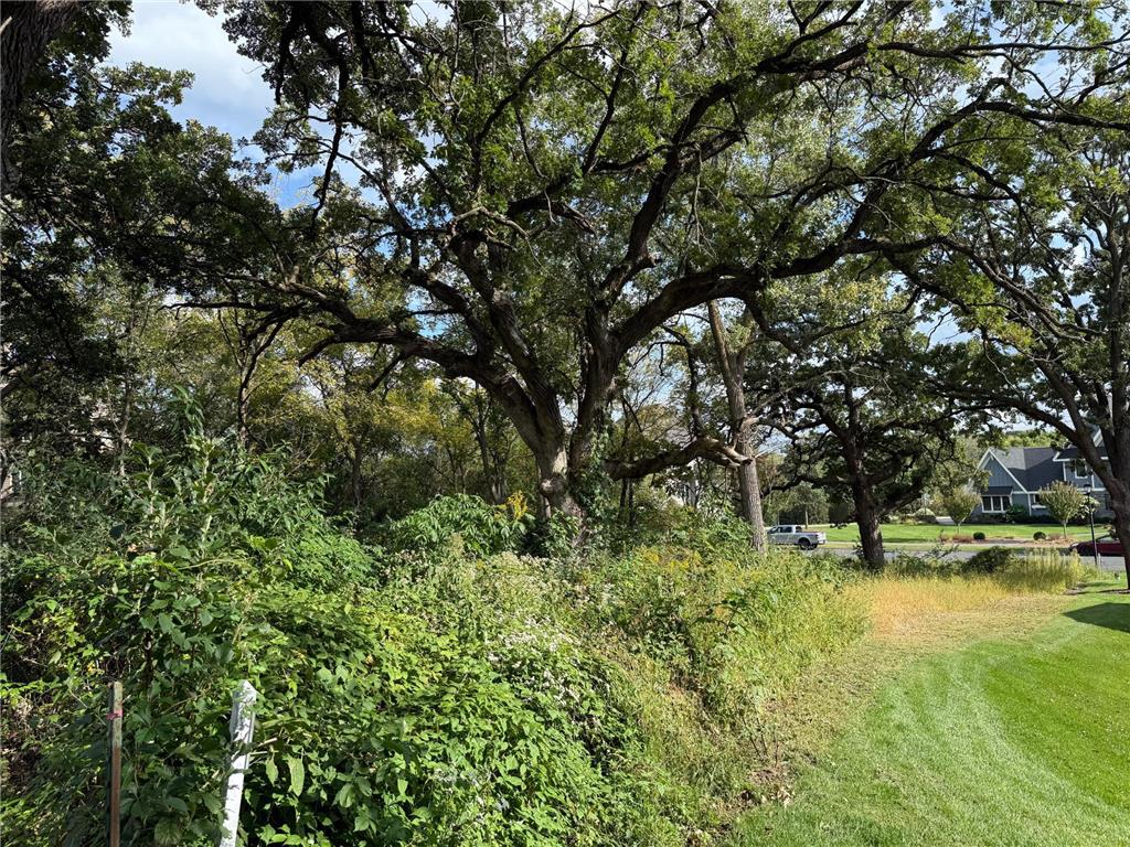 1634 River Shore Drive Hastings MN 55033 6783456 image8