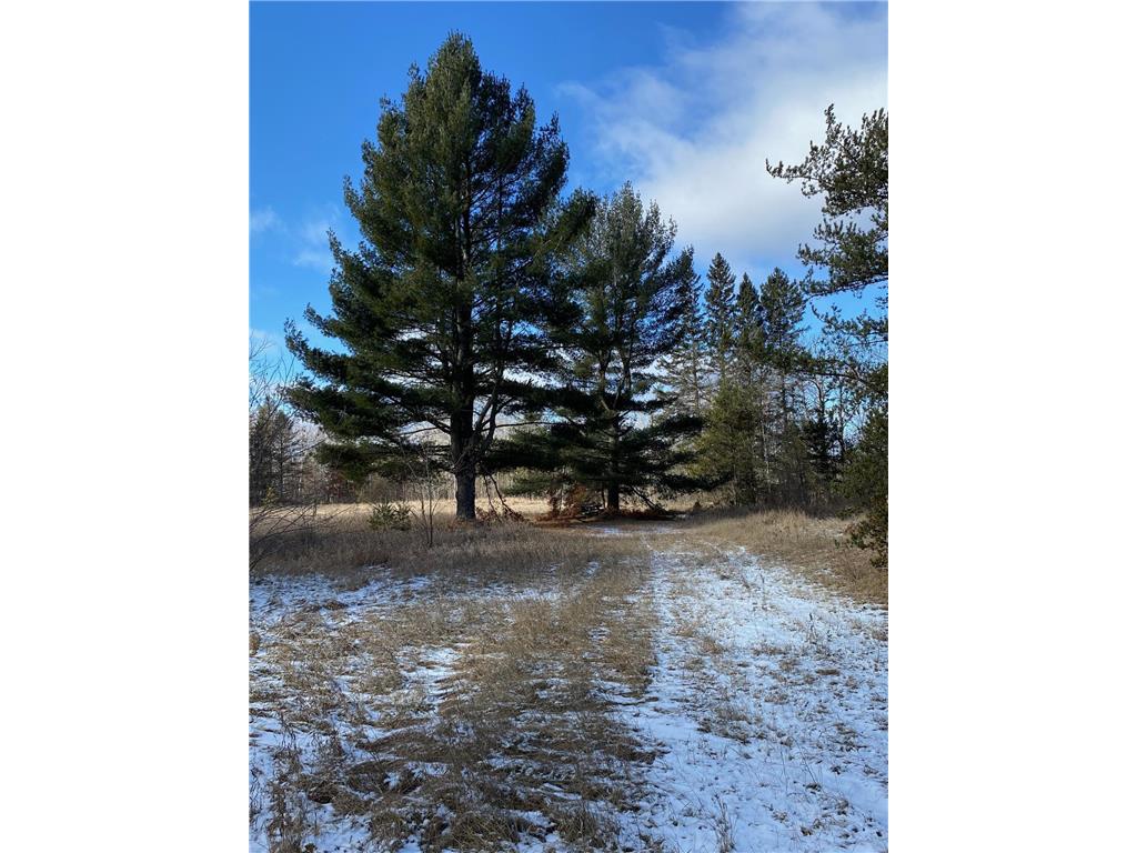 1635 State 84 SW Pine River MN 56474 6489171 image1