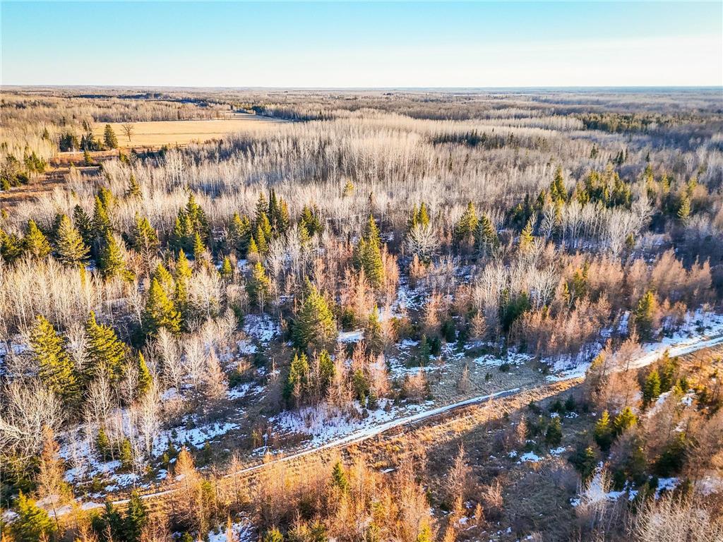 16355 Wildflower Lane NE Cormant Twp MN 56630 6696910 image29