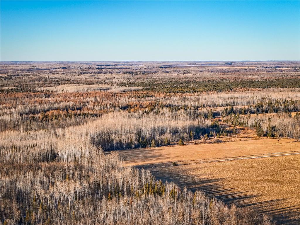 16355 Wildflower Lane NE Cormant Twp MN 56630 6696910 image40