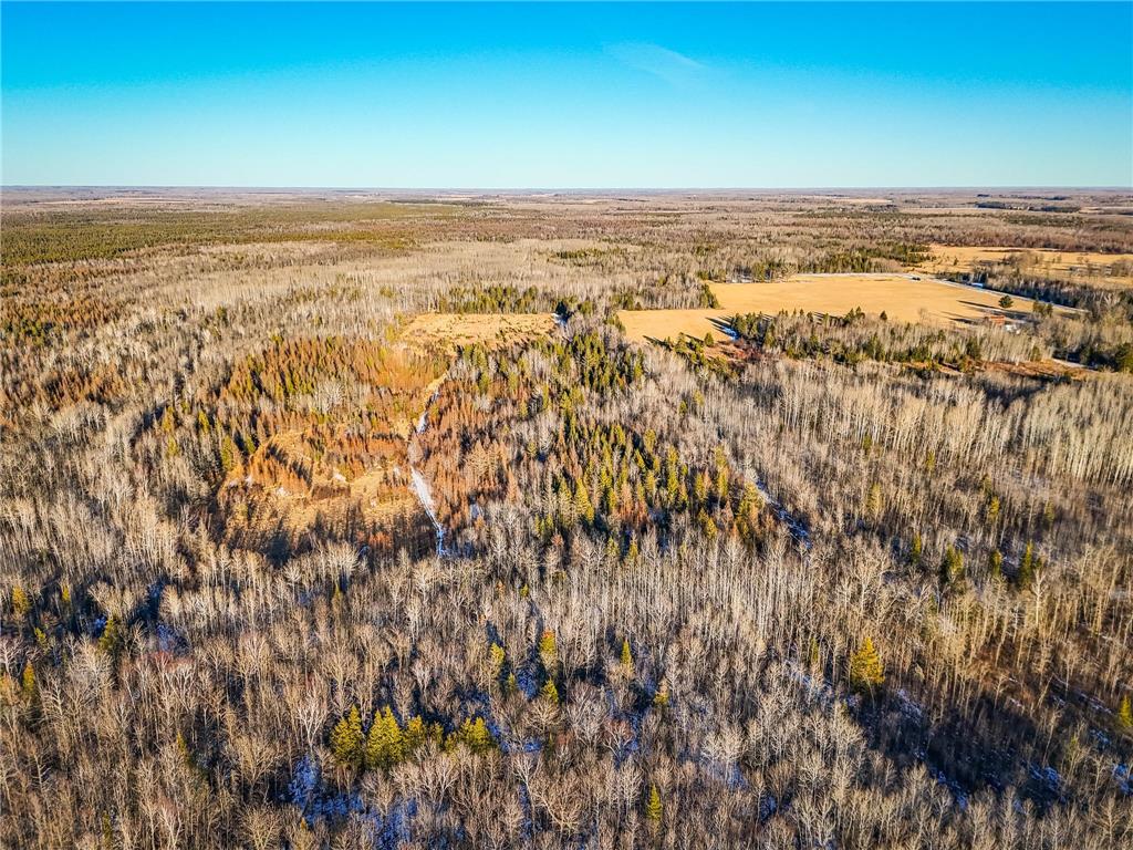 16355 Wildflower Lane NE Cormant Twp MN 56630 6696910 image42