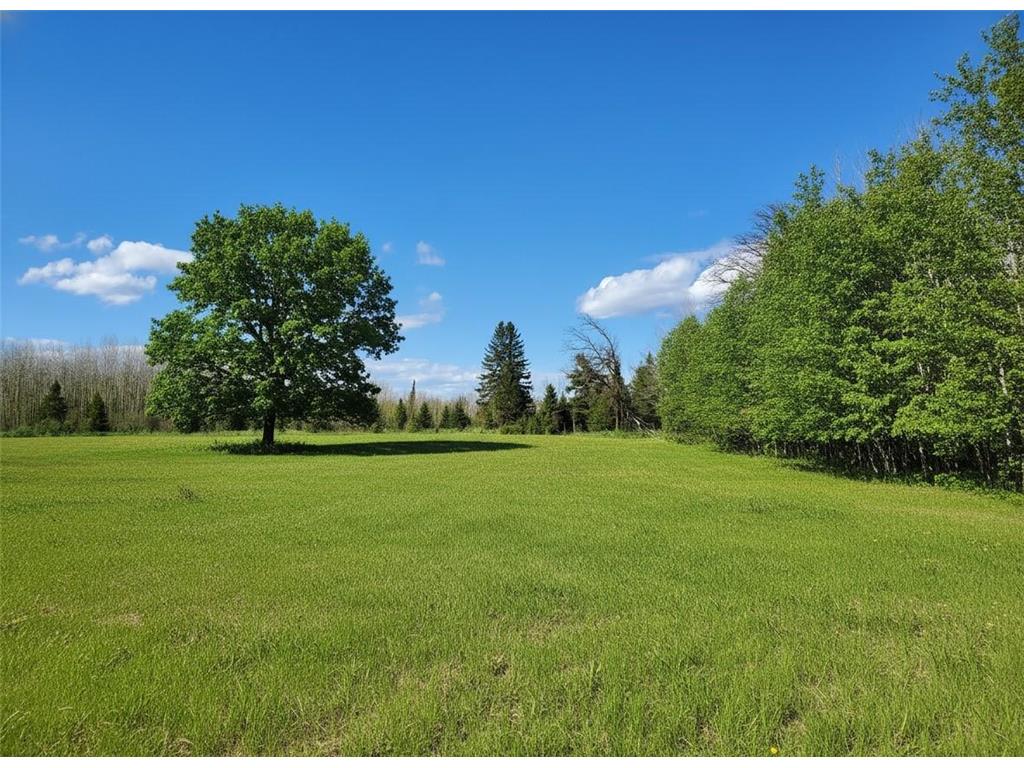 16355 Wildflower Lane NE Blackduck MN 56630 7070207 image4