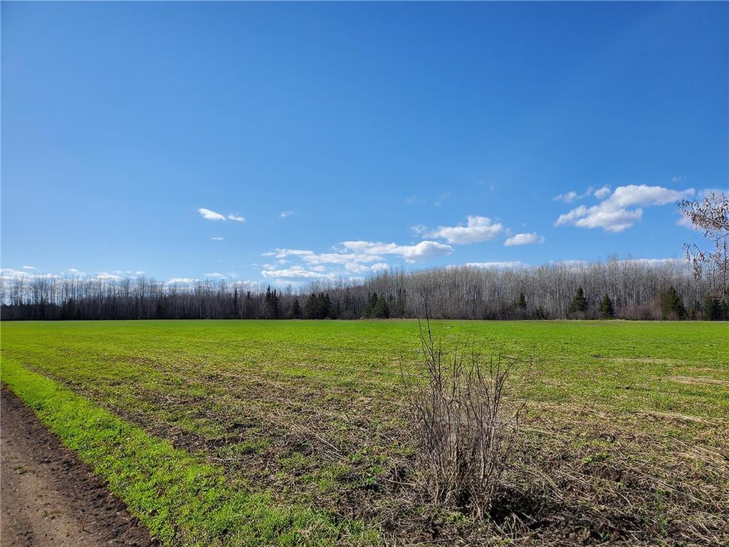 16355 Wildflower Lane NE Blackduck MN 56630 7070207 image5