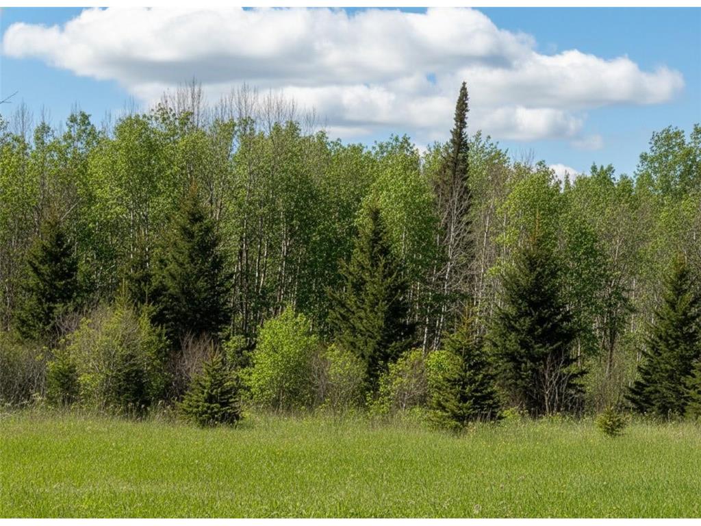 16355 Wildflower Lane NE Blackduck MN 56630 7070207 image6