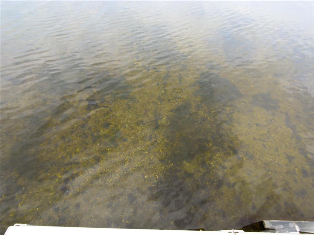 16358 County Road 64 NE Miltona Twp MN 56354 - Irene Lake 7084041 image5