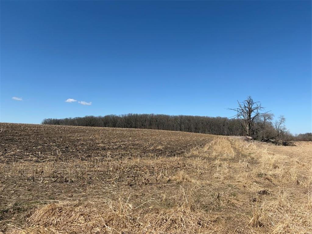 16361 470th Street Verndale MN 56481 7056320 image12