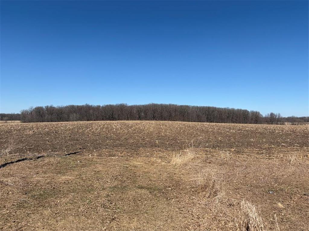 16361 470th Street Verndale MN 56481 7056320 image6