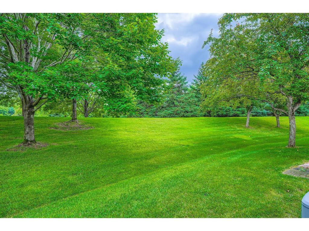 16373 Javari Court Lakeville MN 55044 7024334 image26