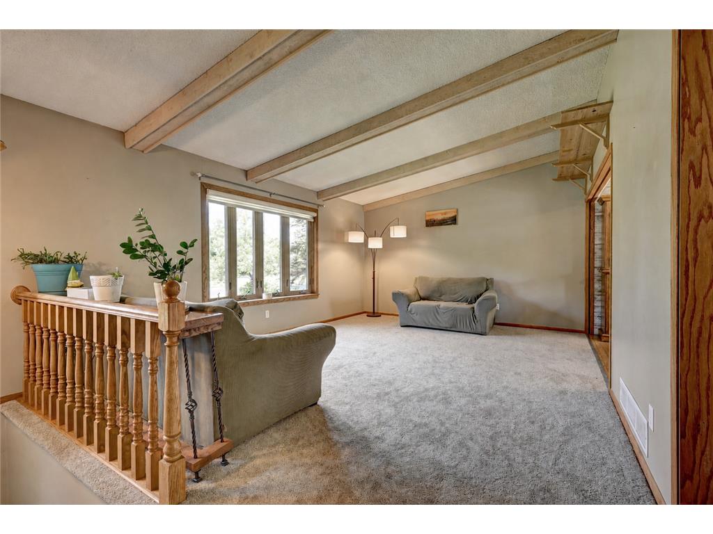 16379 Ward Lake Drive NW Andover MN 55304 7055588 image21