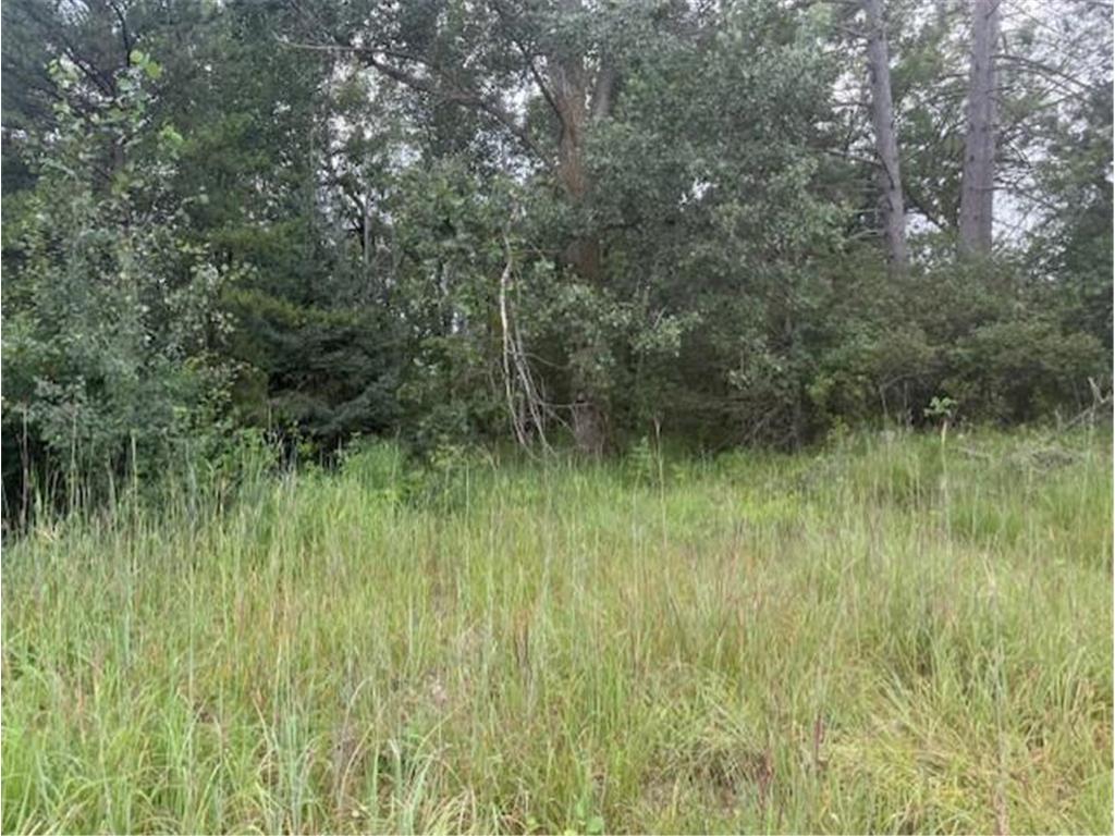 16396 State Highway 371 Brainerd MN 56401 6768244 image73