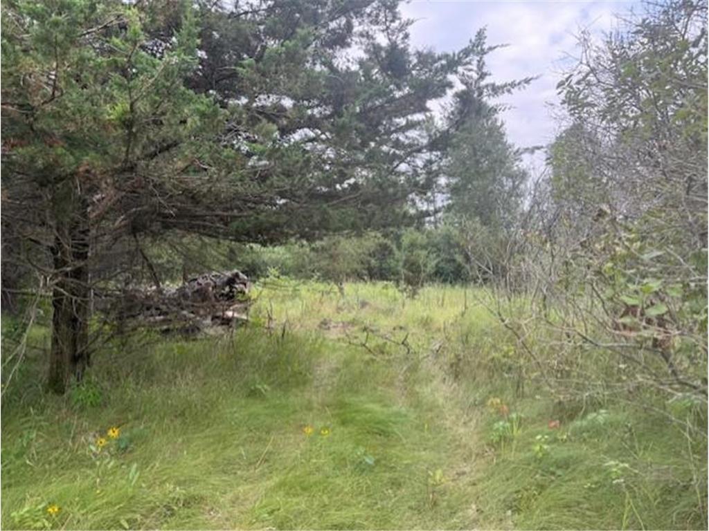 16396 State Highway 371 Brainerd MN 56401 6768244 image75