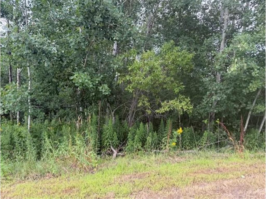 16396 State Highway 371 Brainerd MN 56401 6768244 image85