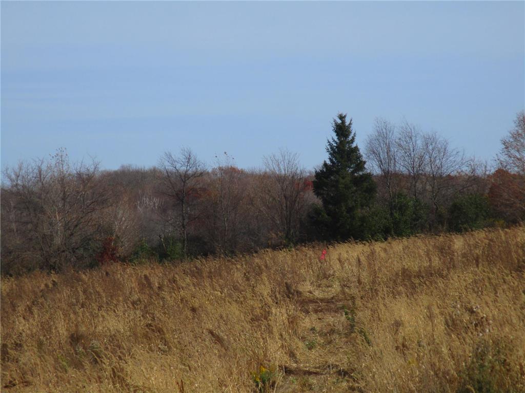 1639A 240th Avenue Luck Twp WI 54853 6625089 image1