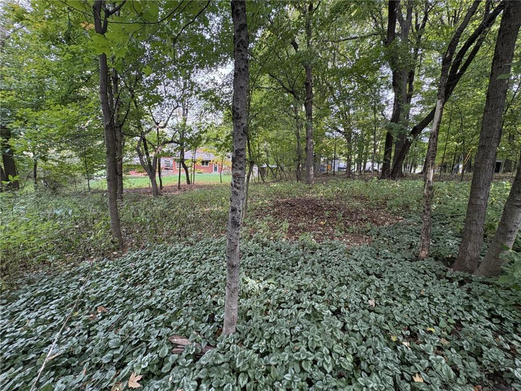 16401 Hidden Valley Road Minnetonka MN 55345 6803553 image1