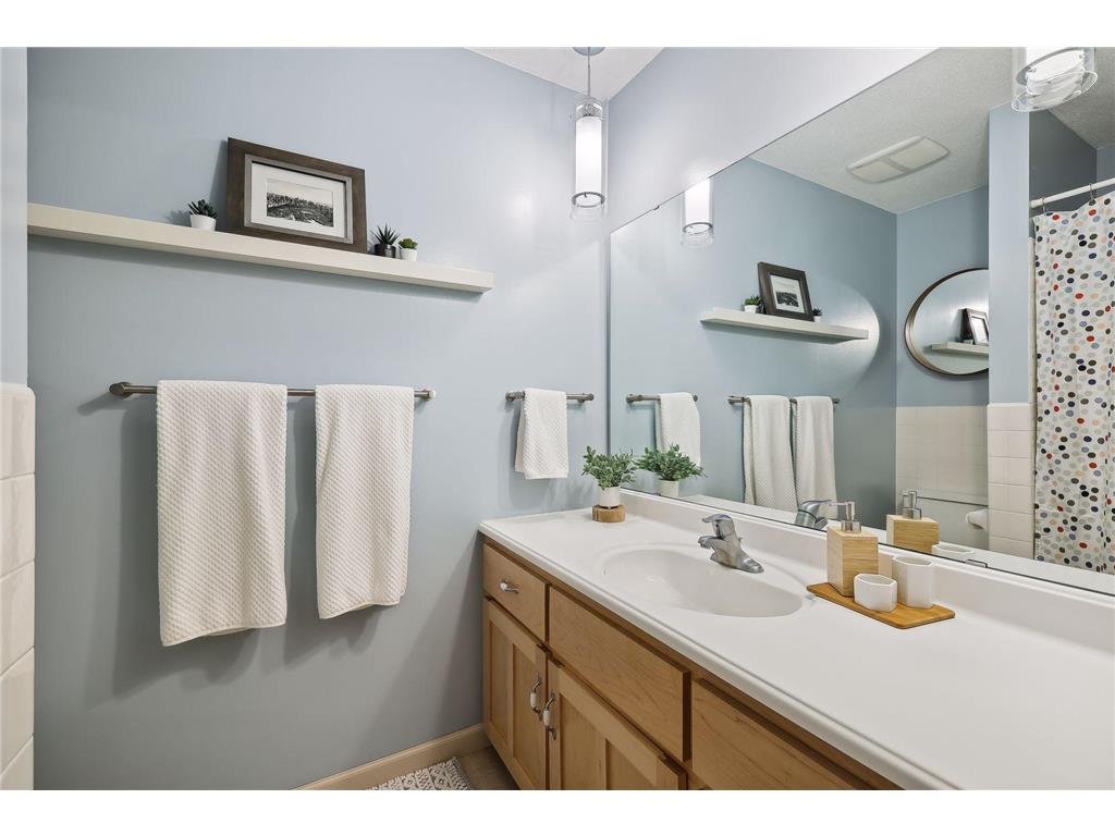 16405 5th Avenue N Plymouth MN 55447 7108059 image19