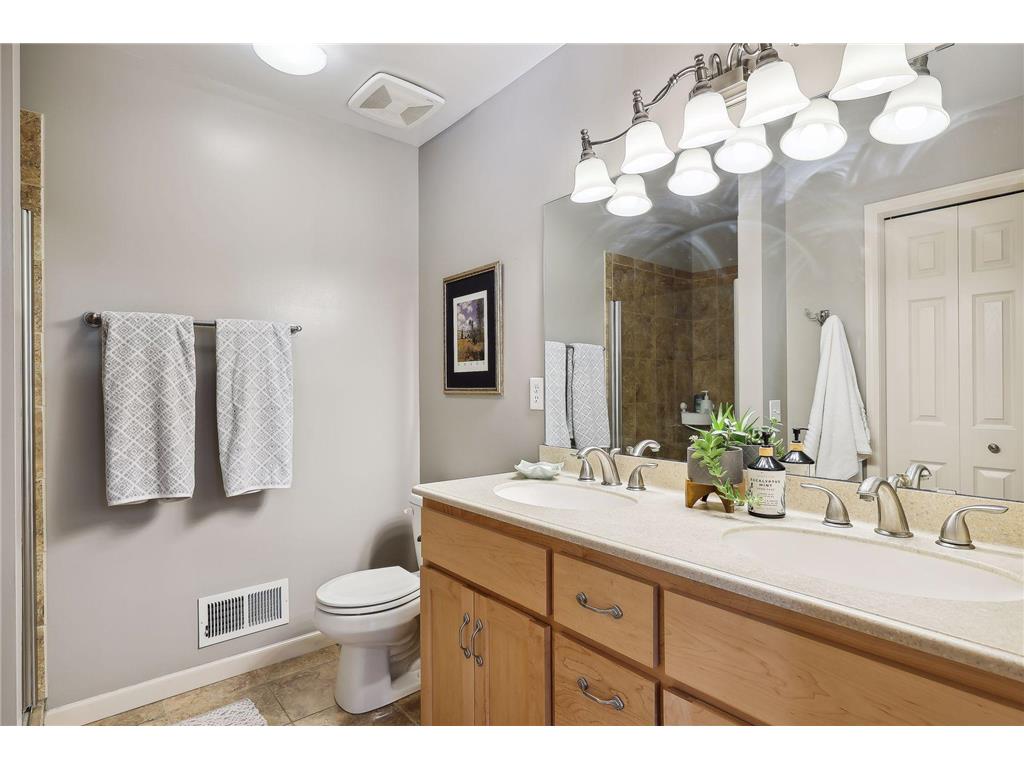 16405 5th Avenue N Plymouth MN 55447 7108059 image23