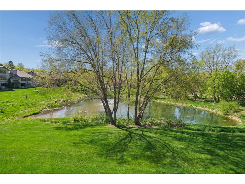 16415 Ellerdale Lane Eden Prairie MN 55346 7050301 image29