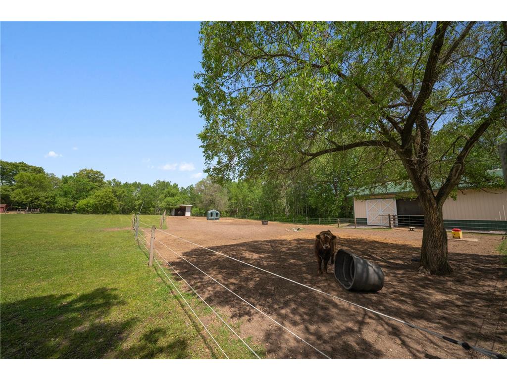 16422 257th Avenue Big Lake MN 55309 7083984 image9