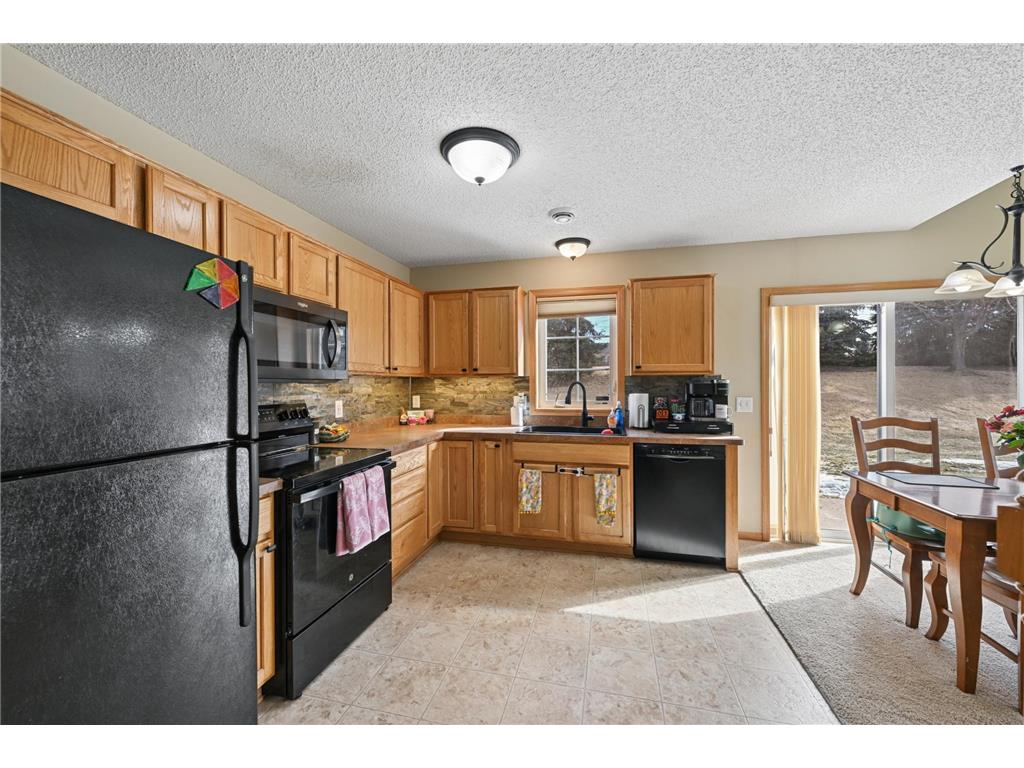 16424 Elm Creek Lane #4029 Lakeville MN 55044 7028723 image7