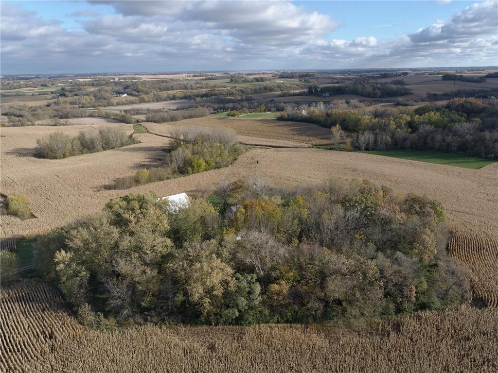 16442 460th Street Roscoe Twp MN 55992 7031852 image10