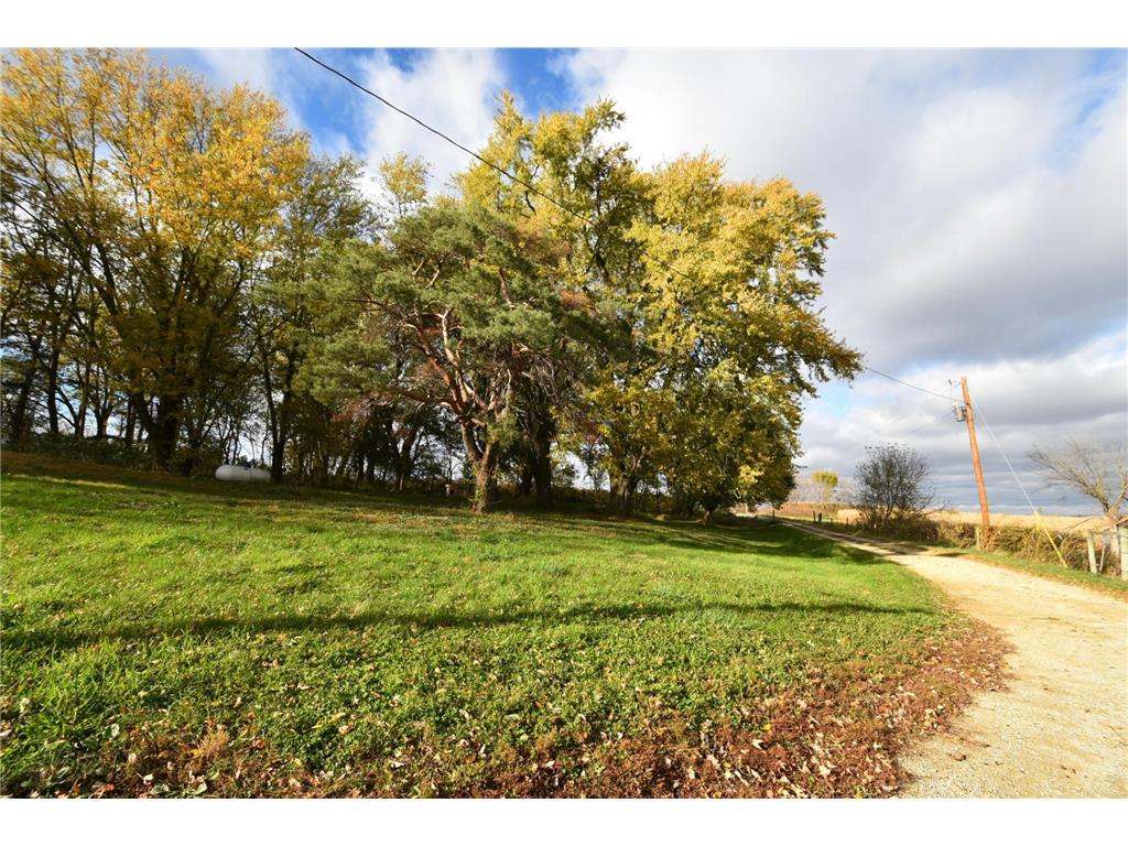 16442 460th Street Roscoe Twp MN 55992 7031852 image12