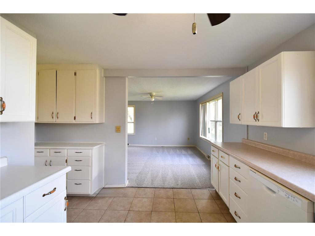 16442 460th Street Roscoe Twp MN 55992 7031852 image19