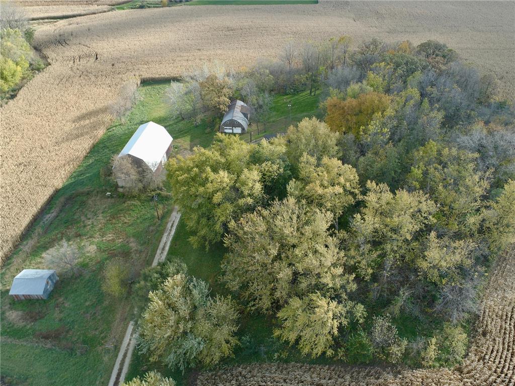 16442 460th Street Roscoe Twp MN 55992 7031852 image6