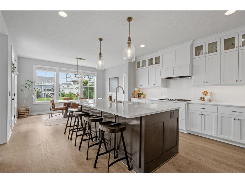16452 Duluth Trail Lakeville MN 55044 7089020 image16