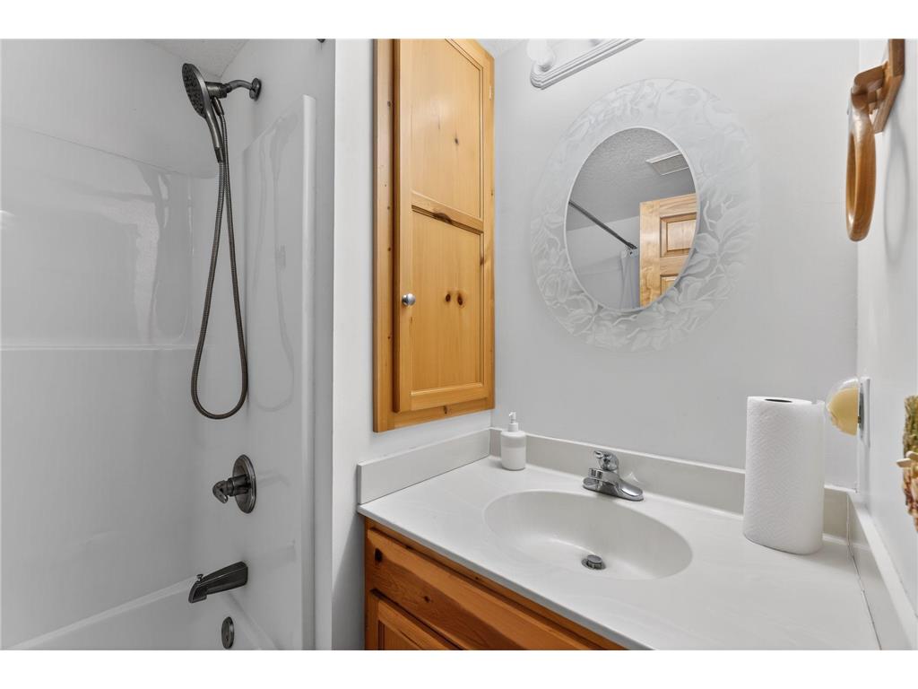 16456 110th Street NW Southside Twp MN 55382 - Marie 7074430 image13
