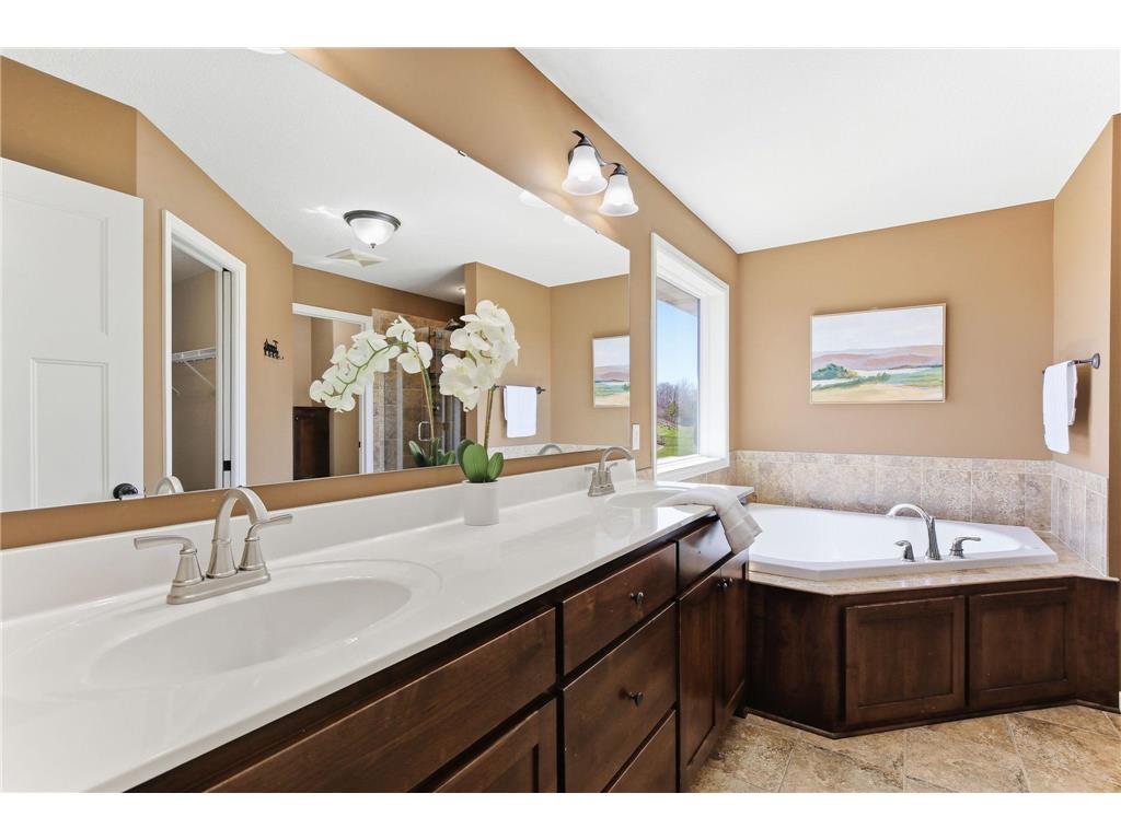 16471 Hawk Ridge Court NW Prior Lake MN 55372 7057155 image21