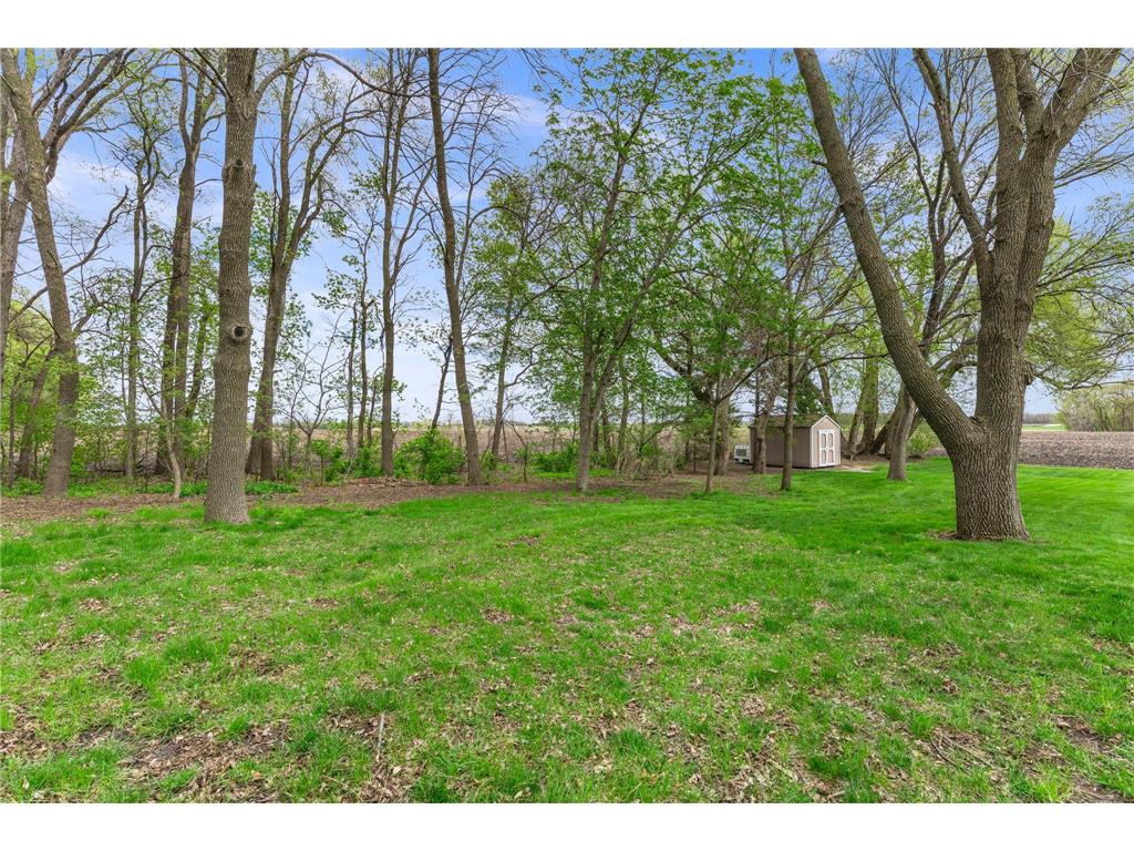 16474 200th Street Hutchinson Twp MN 55350 7065023 image55