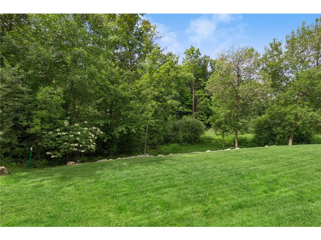 16479 76th Place N Maple Grove MN 55311 7079186 image48