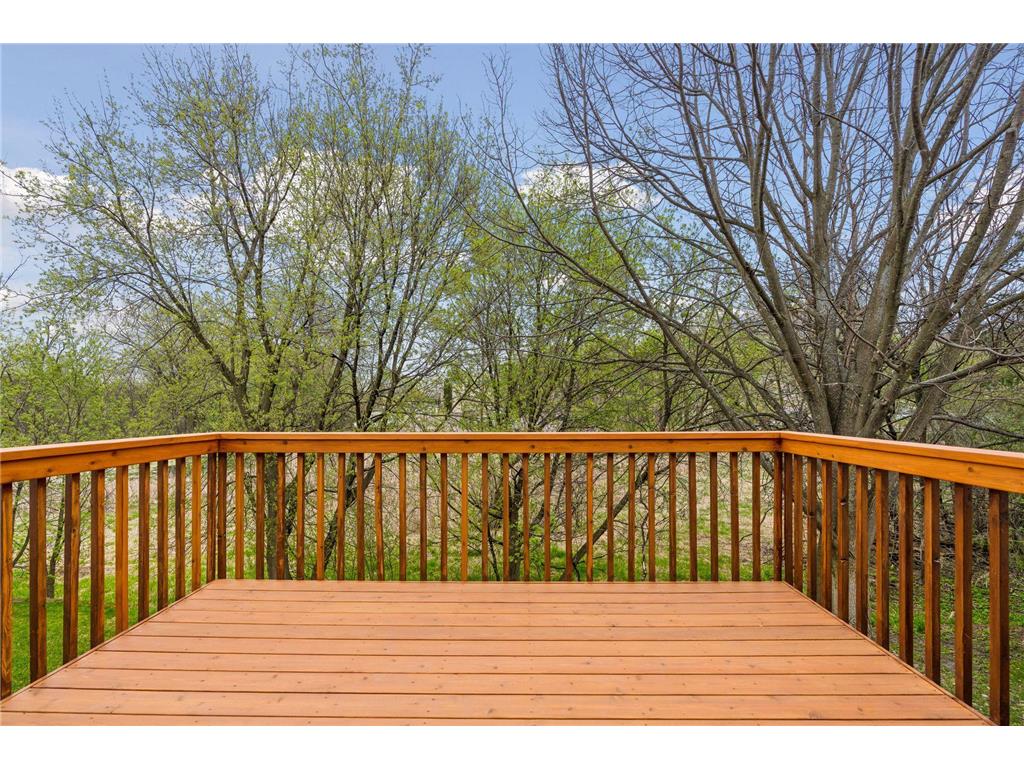 1648 Cohansey Street Saint Paul MN 55117 7027502 image41