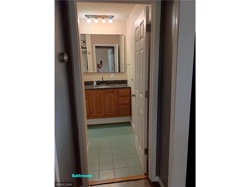 16497 253 1/2 Avenue NW Big Lake MN 55309 - Ann 6787284 image15