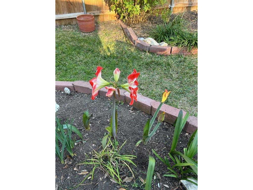 165 Birnamwood Drive Burnsville MN 55337 7009376 image33