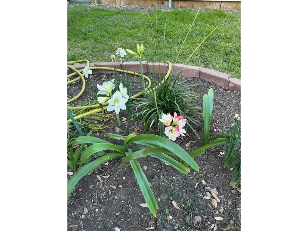 165 Birnamwood Drive Burnsville MN 55337 7009376 image34