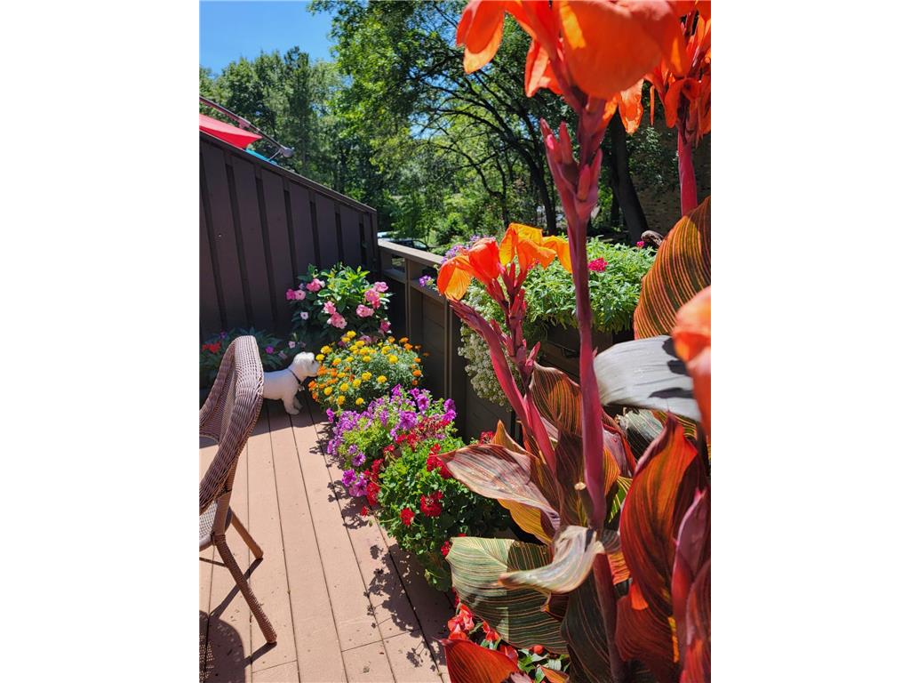 165 Birnamwood Drive Burnsville MN 55337 7009376 image38