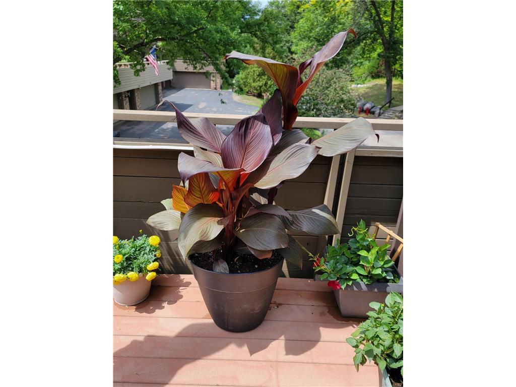 165 Birnamwood Drive Burnsville MN 55337 7009376 image41