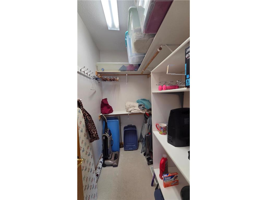 165 Cardinal Lane Clearwater MN 55320 - Mississippi 7034984 image24